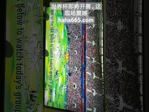 巴塞罗那成,功签下,哈维盛情邀,江南体育平台,江南体育官方网站,江南体育登录入口,江南体育app下载