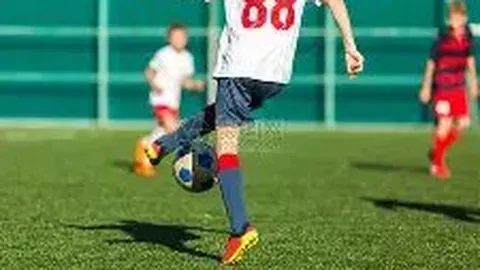 江南体育 产品 114446 qfx